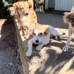 20251004-fotos-sena-7