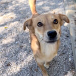 20251004-fotos-sena-9