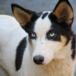 20251101-fotos-sasaki-1