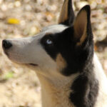 20251101-fotos-sasaki-10