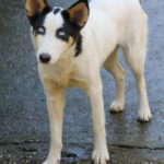 20251101-fotos-sasaki-3