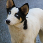 20251101-fotos-sasaki-4