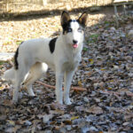 20251101-fotos-sasaki-6