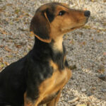 20251117-fotos-future-01