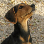 20251117-fotos-future-02