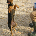 20251117-fotos-future-03