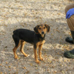 20251117-fotos-future-07