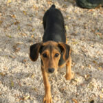 20251117-fotos-future-08