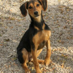 20251117-fotos-future-09