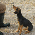 20251117-fotos-future-10