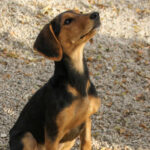 20251117-fotos-future-12