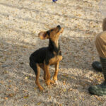 20251117-fotos-future-13