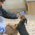 20251117-fotos-future-14