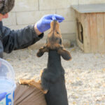 20251117-fotos-future-15