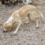 20251117-fotos-magdalena-3