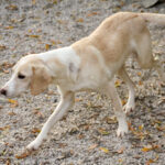 20251117-fotos-magdalena-4