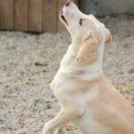 20251117-fotos-magdalena-5