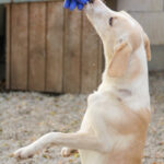 20251117-fotos-magdalena-7