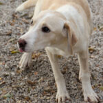 20251117-fotos-magdalena-8