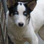 20251117-fotos-sasaki-1