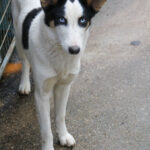 20251117-fotos-sasaki-2