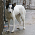 20251117-fotos-sasaki-3