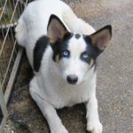 20251117-fotos-sasaki-5