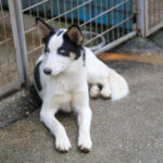 20251117-fotos-sasaki-7