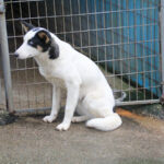 20251117-fotos-sasaki-8