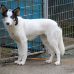 20251117-fotos-sasaki-9