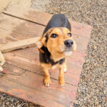 20251126-fotos-future-1