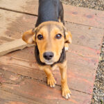 20251126-fotos-future-3