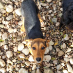 20251126-fotos-future-4