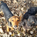 20251126-fotos-future-5