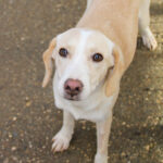 20251126-fotos-magdalena-01