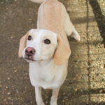 20251126-fotos-magdalena-02