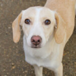 20251126-fotos-magdalena-03