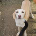 20251126-fotos-magdalena-04