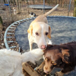 20251126-fotos-magdalena-06