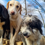 20251126-fotos-magdalena-07