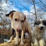 20251126-fotos-magdalena-09