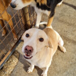 20251126-fotos-magdalena-10