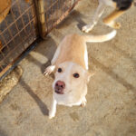 20251126-fotos-magdalena-13