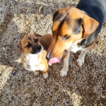 20251126-fotos-millie-01