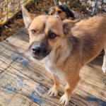 20251126-fotos-millie-03