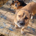 20251126-fotos-millie-04