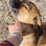 20251126-fotos-millie-08