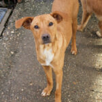 20251126-fotos-mira-1