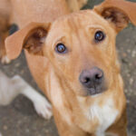 20251126-fotos-mira-3