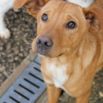 20251126-fotos-mira-4